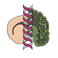 The Lingor-Lab Logo